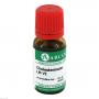 CHOLESTERINUM LM 6 Dilution