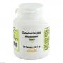 CHONDROITIN GLUCOSAMIN Kapseln