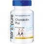 CHONDROITIN PLUS Kapseln