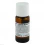 CICHORIUM PLUMBO cultum D 3 Dilution