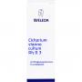 CICHORIUM STANNO cultum Rh D 3 Dilution