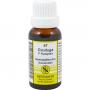 CIMICIFUGA F Komplex Nr.47 Dilution