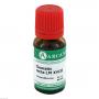 CLEMATIS RECTA LM 18 Dilution