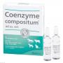 COENZYME COMPOSITUM ad us.vet.Ampullen