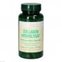 COLLAGEN HYDROLYSAT 280 mg Bios Kapseln