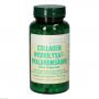COLLAGEN HYDROLYSAT Hyaluronsäure Bios Kapseln