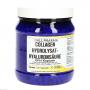 COLLAGEN HYDROLYSAT Hyaluronsäure GPH Kapseln