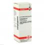 COLOCYNTHIS D 6 Dilution