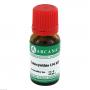 COLOCYNTHIS LM 12 Dilution
