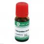 COLOCYNTHIS LM 6 Dilution