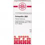 COLOCYNTHIS LM VI Dilution