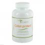 COLON PROTECT Dr.Wagner Kapseln