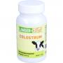 COLOSTRUM 800 mg/Tag Kapseln