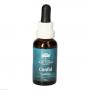 CONFID Essence austral.Bushblüten Mischung AUB
