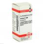 CONIUM D 200 Globuli