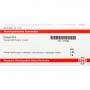 CONIUM D 6 Ampullen