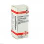 CONIUM LM XVIII Dilution