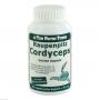CORDYCEPS 350 mg Extrakt Kapseln