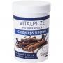 CORDYCEPS SINENSIS Bio Vitalpilze Pulver-Kapseln