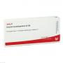 CORPORA quadrigemina GL D 6 Ampullen