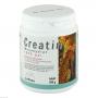 CREATIN MONOHYDRAT 100% Pur Pulver