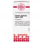 CUPRUM OXYDATUM nigrum D 30 Globuli Ind.Fert.
