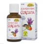 CURCUMA BIO Kapseln
