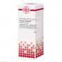 CURCUMA LONGA D 2 Dilution