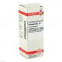 CURCUMA LONGA D 4 Dilution