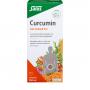 CURCUMIN 202 Bioaktiv Tonikum Salus