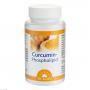 CURCUMIN-PHOSPHOLIPID Dr.Jacob's Kapseln
