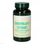 CURRYBLATTEXTRAKT 500 mg Bios Kapseln