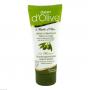 DALAN d'Olive Feuchtigkeitscreme