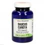 DAUCUS CAROTA GPH Kapseln