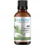 DILL ANETHUM graveolens L.Tinktur