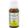 DIOSCOREA F Komplex Nr.243 Dilution