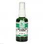 DMSO-SPRAY 50% mit Menthol