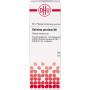 DOLICHOS PRURIENS D 6 Dilution