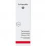 DR.HAUSCHKA Bergamotte Lemongrass Körpermilch