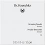 DR.HAUSCHKA Bronzing Powder 01 bronze
