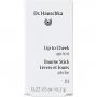DR.HAUSCHKA Lip to Cheek 01 apricot