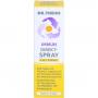 DR.THEISS Immun Direkt-Spray