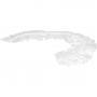 DUSCHHAUBE transparent 20 my PE