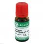 ECHINACEA ANGUSTIFOLIA LM 18 Dilution