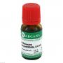 ECHINACEA ANGUSTIFOLIA LM 6 Dilution