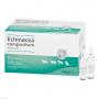 ECHINACEA COMPOSITUM ad us.vet.Ampullen
