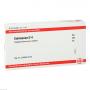 ECHINACEA D 4 Ampullen