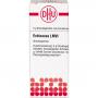 ECHINACEA HAB LM VI Globuli