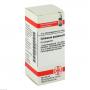 ECHINACEA PURPUREA D 2 Globuli