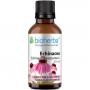 ECHINACEA TINKTUR